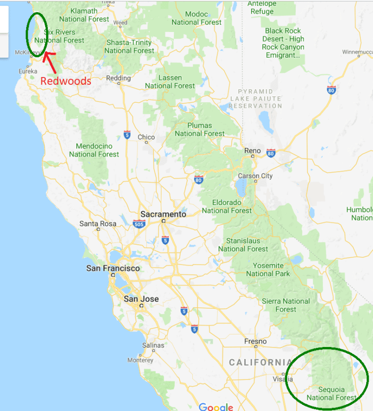 Redwoods Sequoia Locations 768x848 