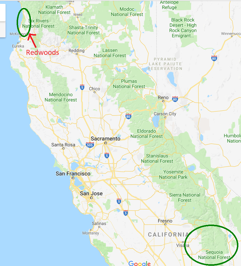 redwoods vs sequoia locations