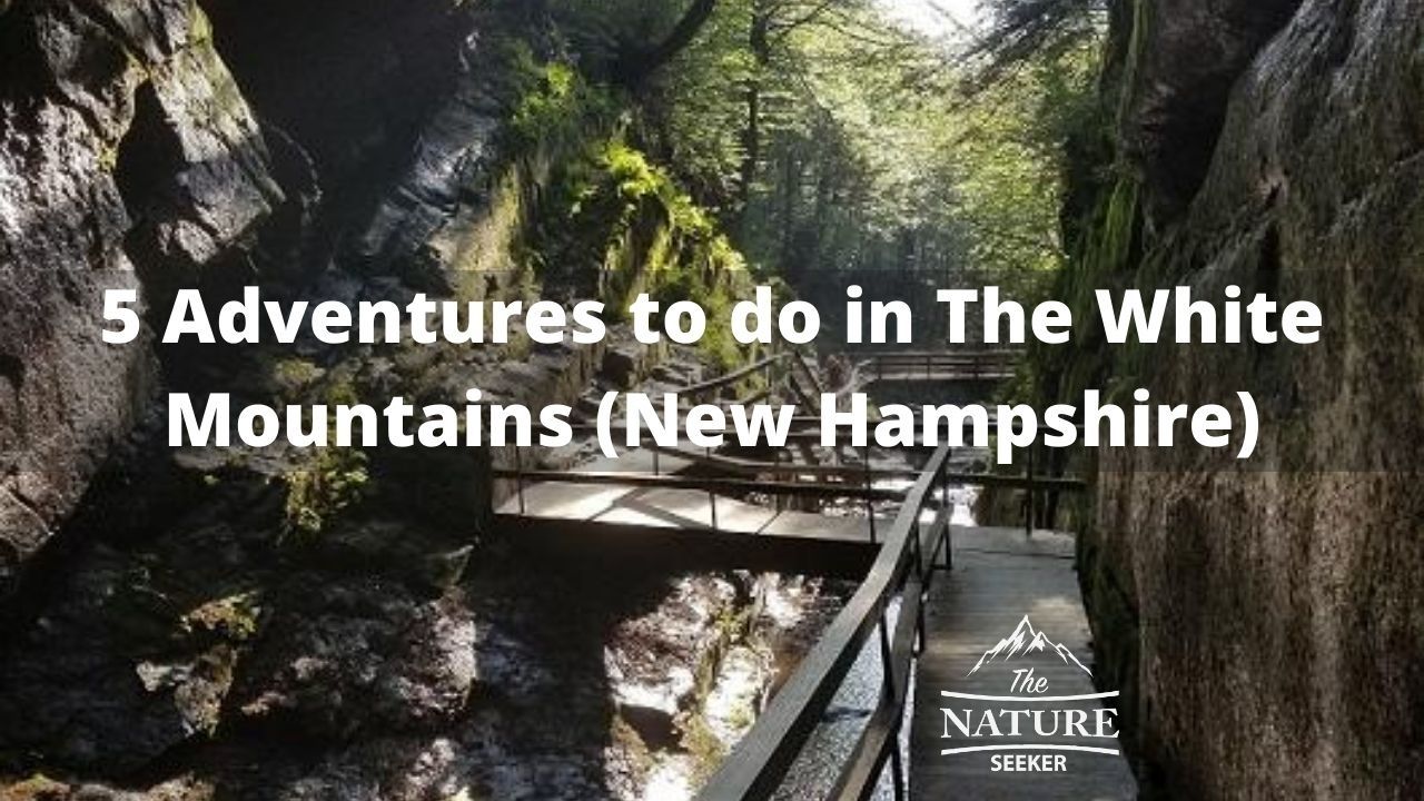 Things to do in The White Mountains of New Hampshire
