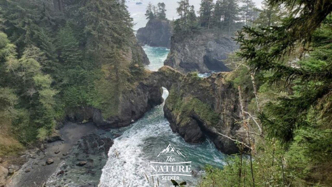 Samuel H. Boardman Scenic Corridor: 1st Time Visitor Guide