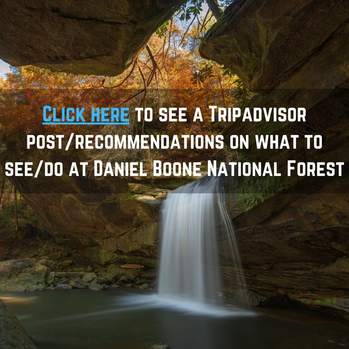 daniel boone national forest forum on what to do