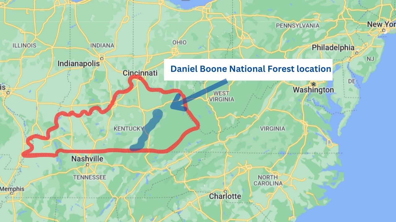 daniel boone national forest location new 01