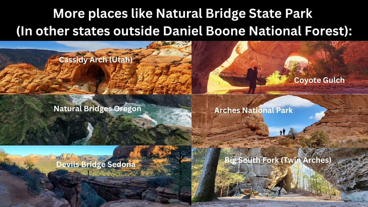 daniel boone national forest look alike arches