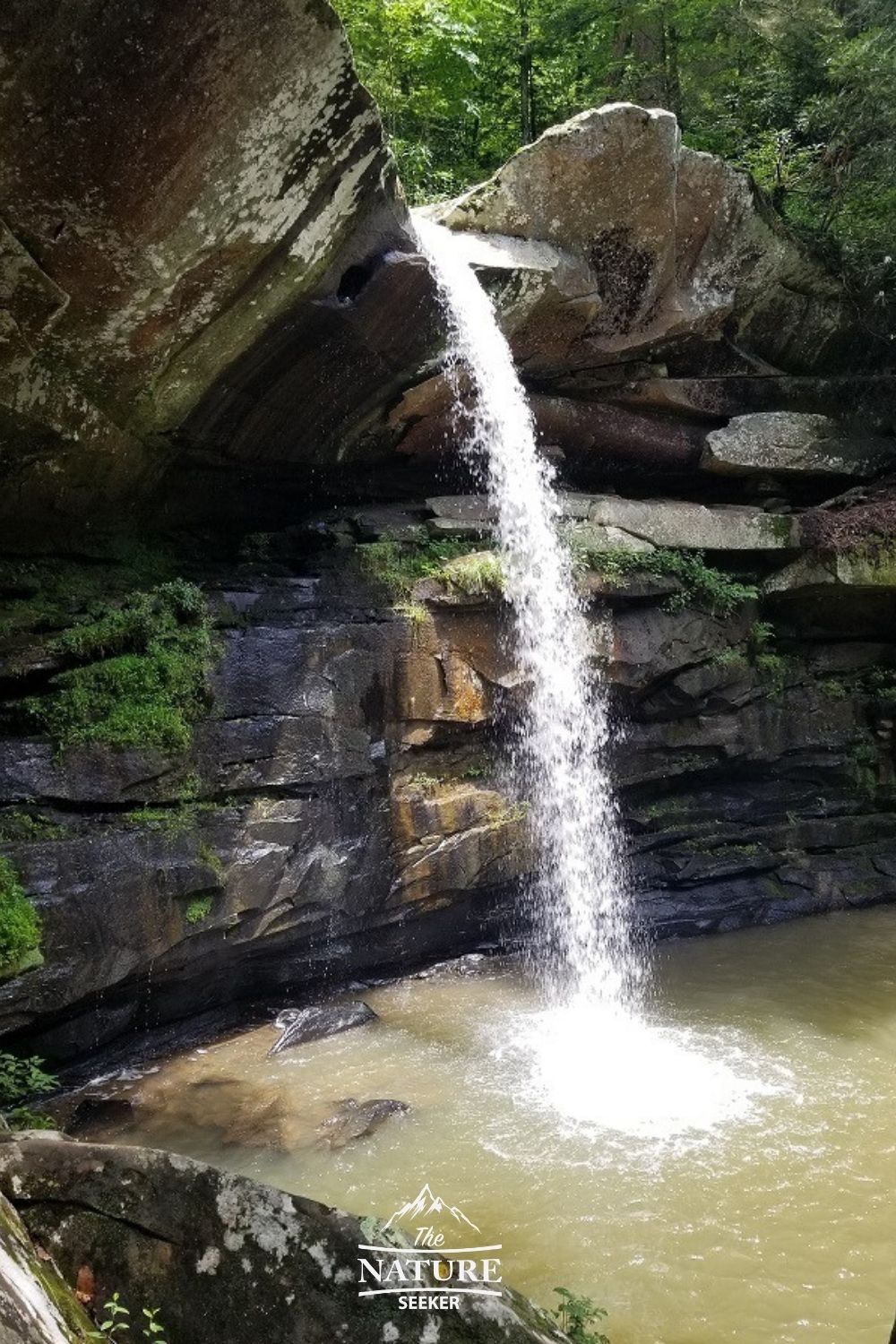 eagle falls at daniel boone national forest