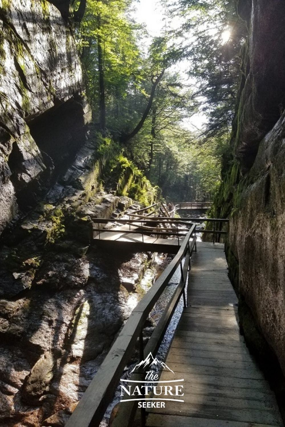 flume gorge state park in the white mountains