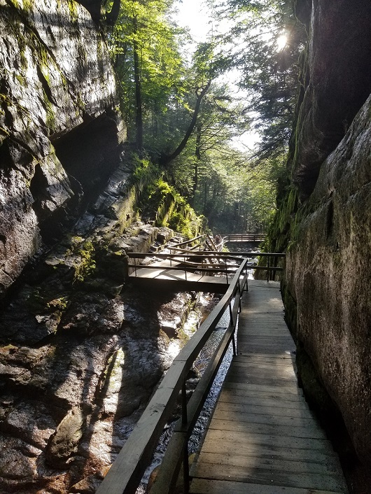 white mountains flume gorge nh