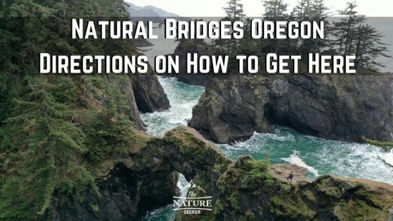 How to Safely Hike to Natural Bridges Oregon