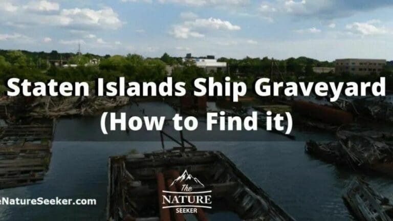 How to Find The Staten Island Boat Graveyard