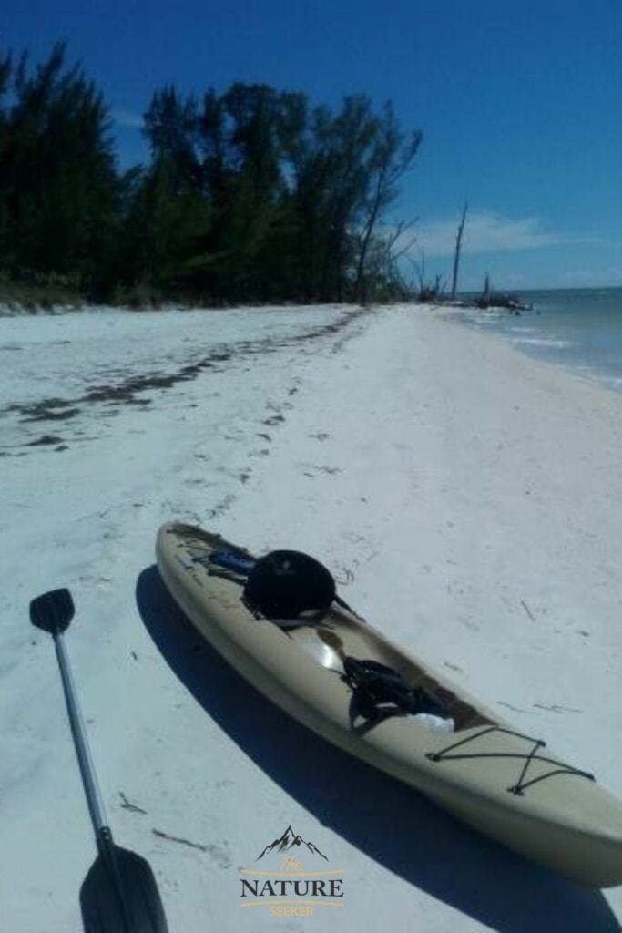 The Best Places to Kayak in Bradenton Florida Revealed!