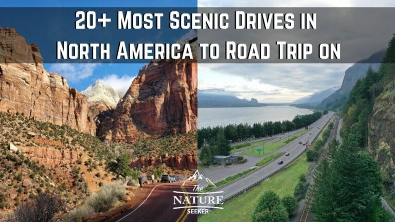 22 Stunning Scenic Drives in North America to Pass Through