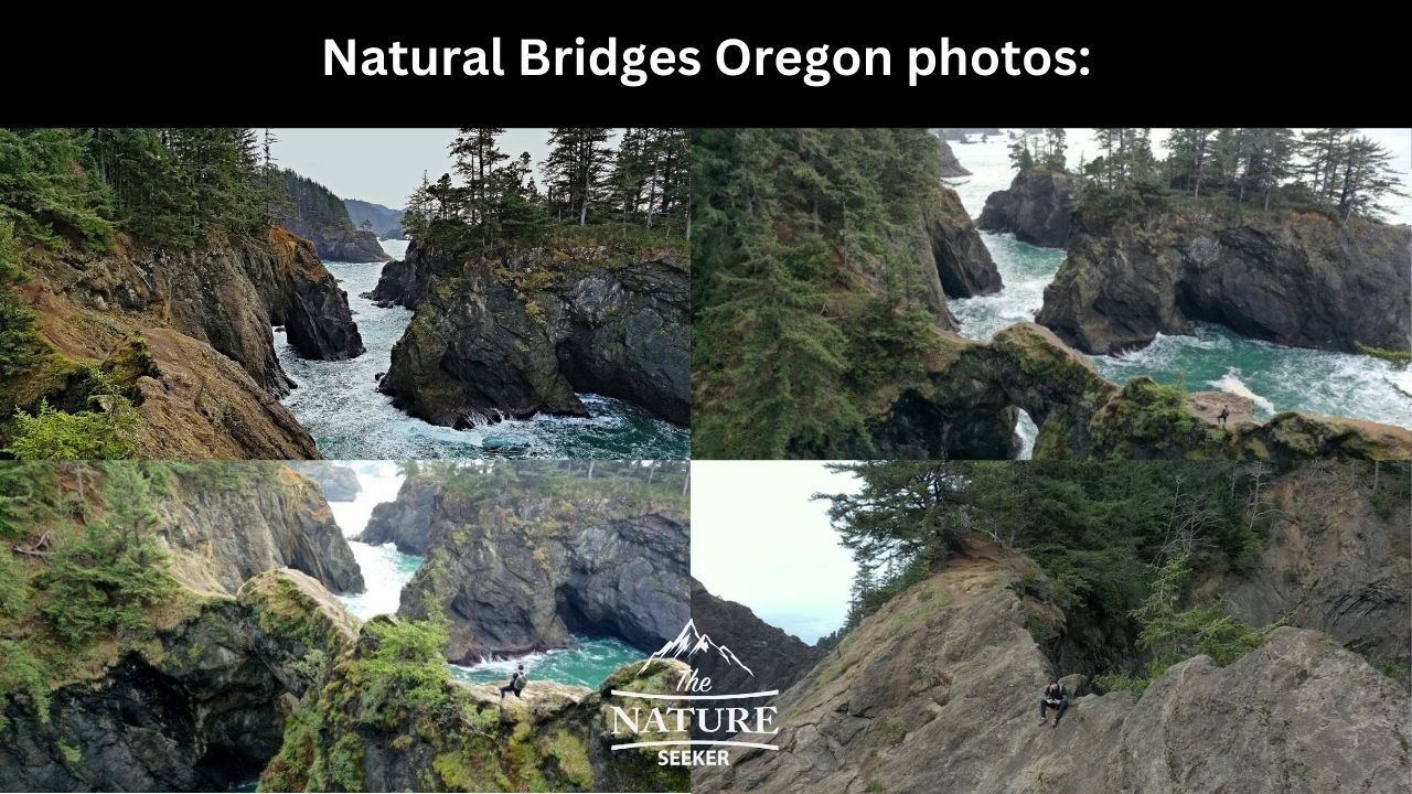 natural bridges brookings photos 01