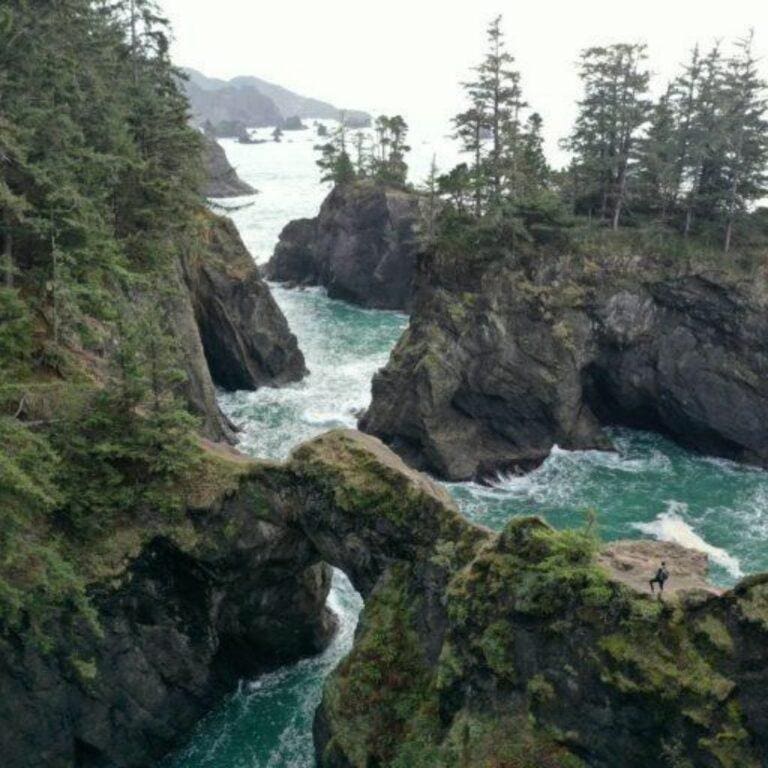 oregon coast 101 scenic drive – The Nature Seeker