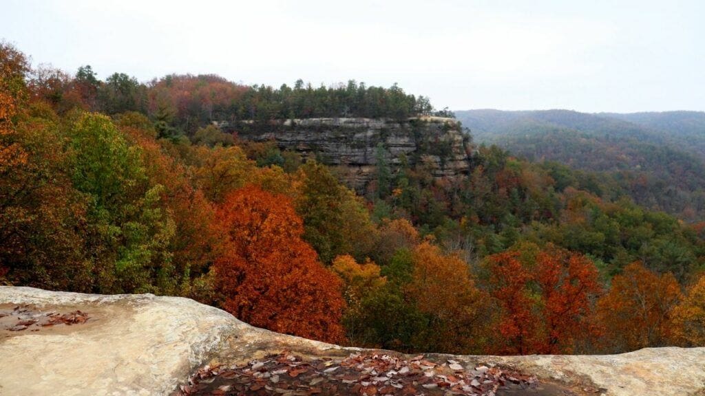 red river gorge overlook daniel boone national forest