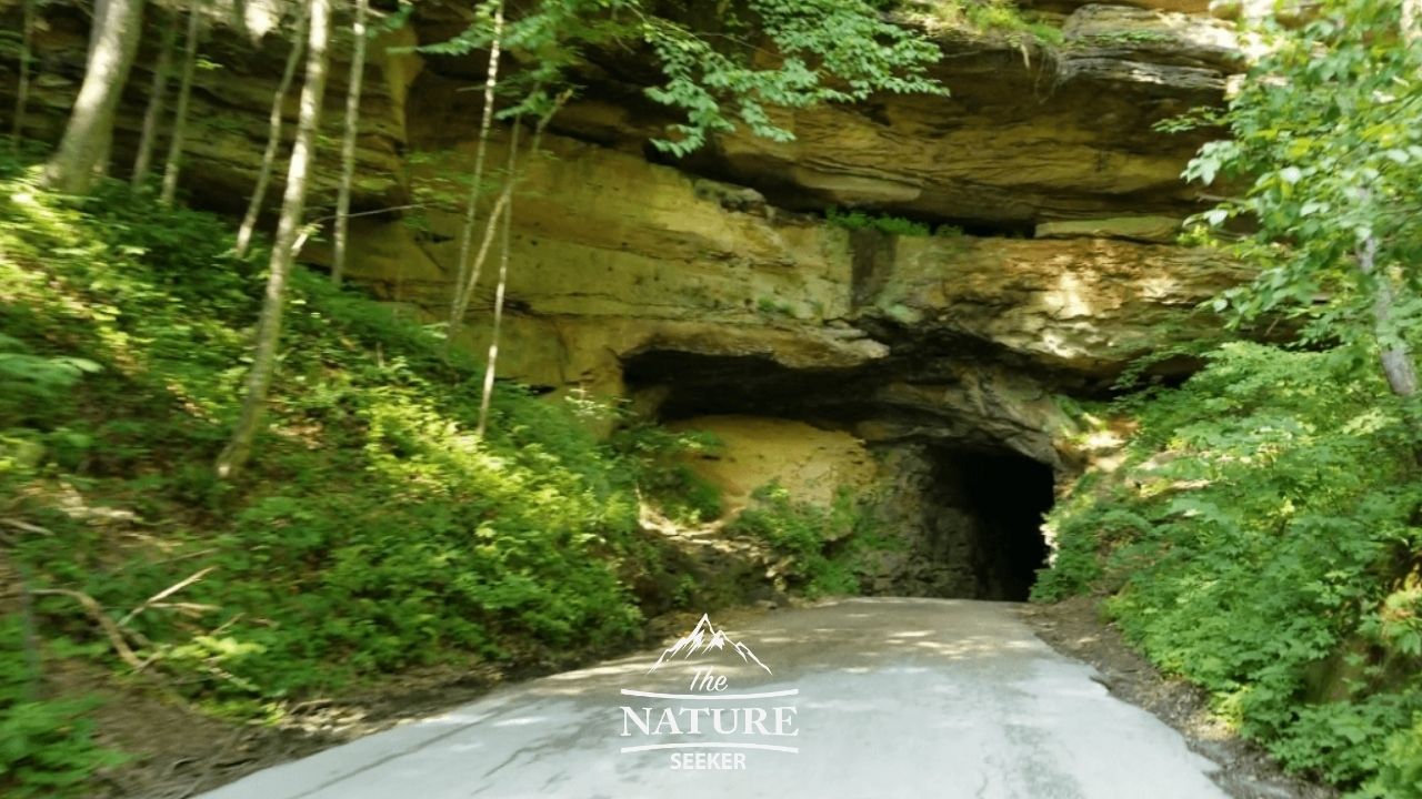 scenic drives at red river gorge daniel boone national forest