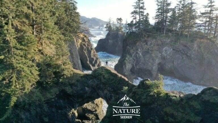 scenic view of natural bridges at samuel h boardman state park