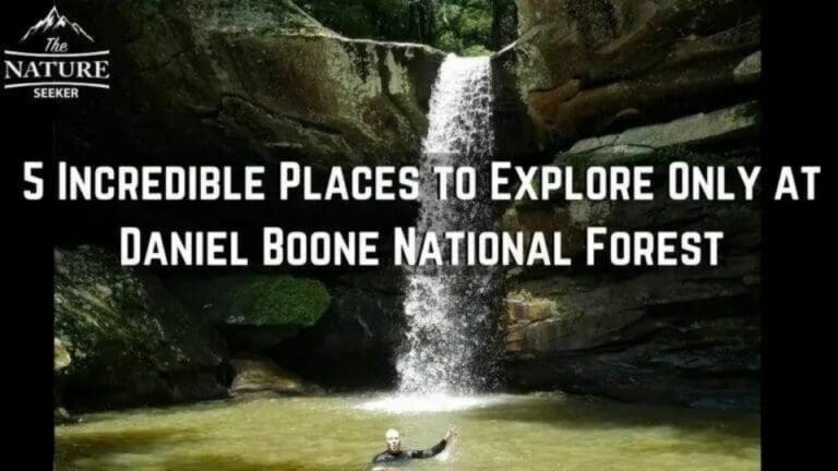 10 Best Things to do in Daniel Boone National Forest