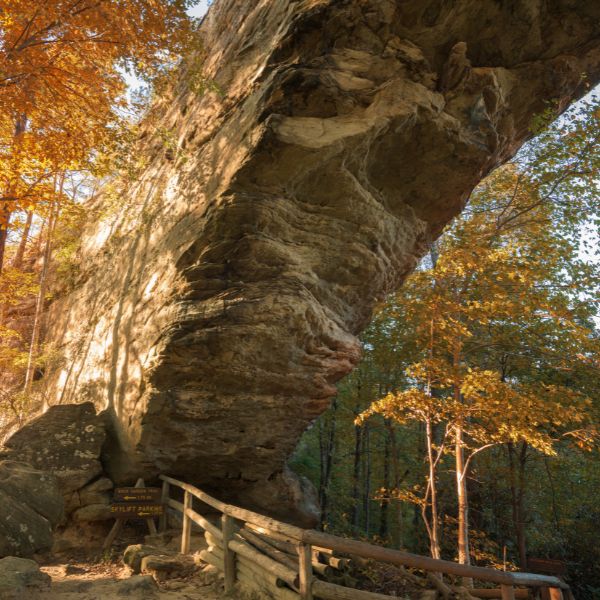 what to do in daniel boone national forest new 05