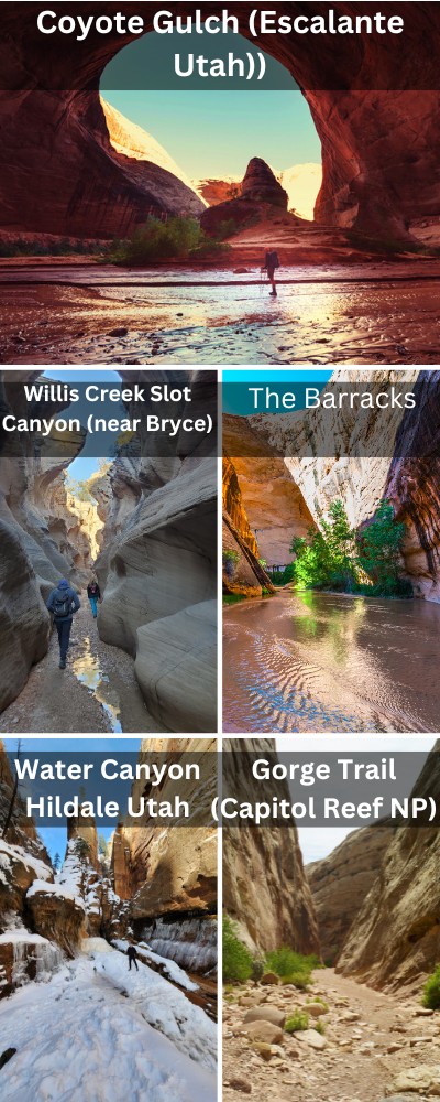 5 alternative hikes that look like the narrows infographic
