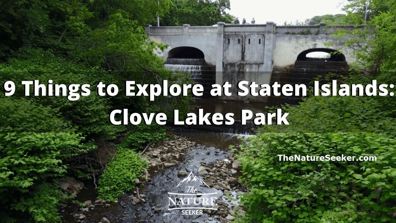 a list of things to see at clove lakes park staten island