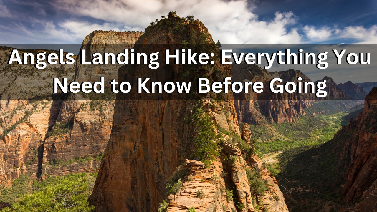 Is Angels Landing Dangerous? Things to Know For First Timers