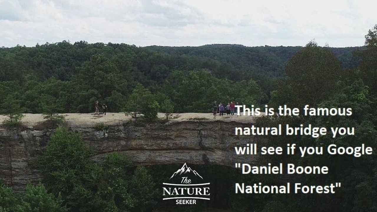 daniel boone national forest skybridge area of the appalachian mountains