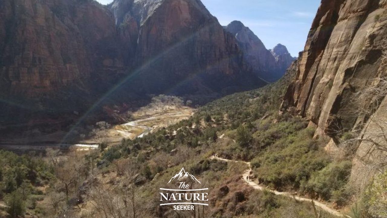 hiking up to angels landing beautiful view