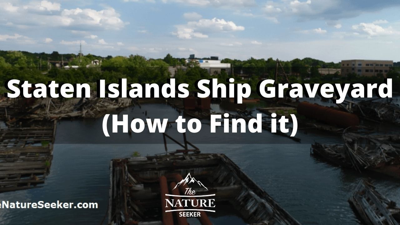 how to find the arthur kill ship graveyard in staten island