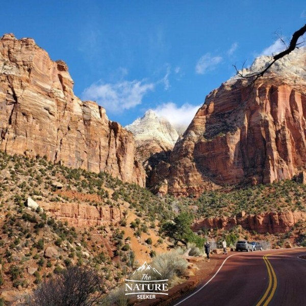 scenic drive in zion national park things to do new 07