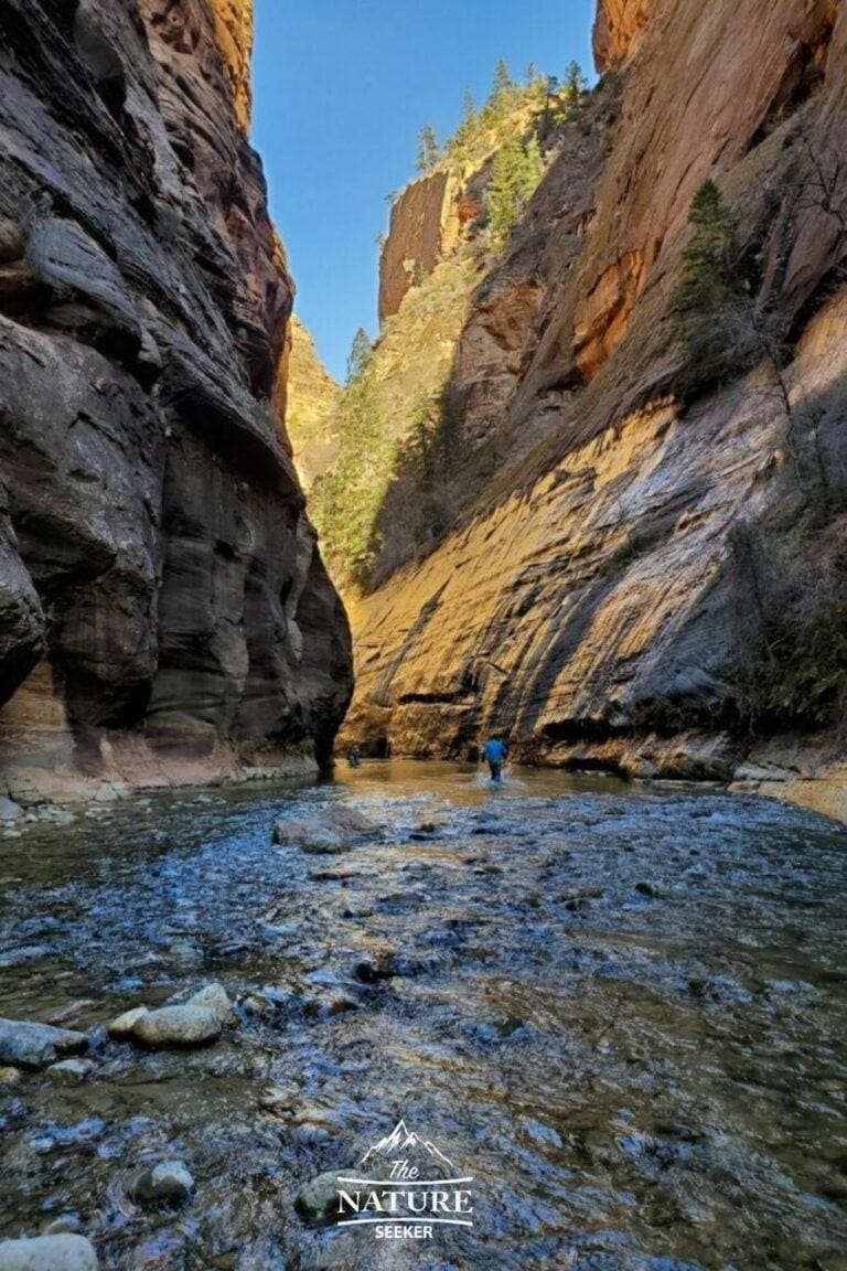 Hiking The Narrows For Beginners: A Detailed Guide