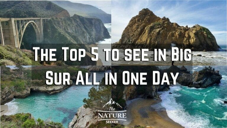5 Best Things to do in Big Sur in One Day