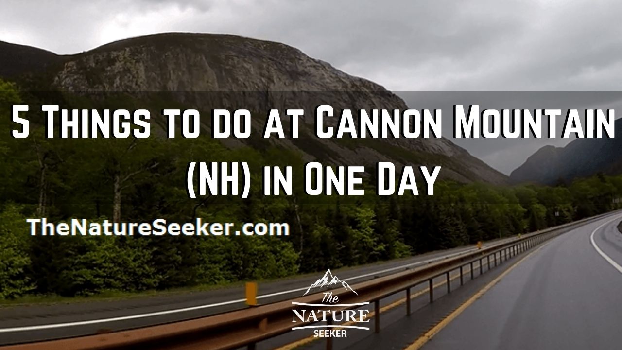 things to do at cannon mountain NH