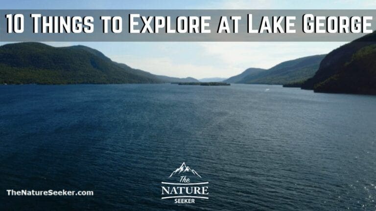 10 Adventurous Things to do at Lake George