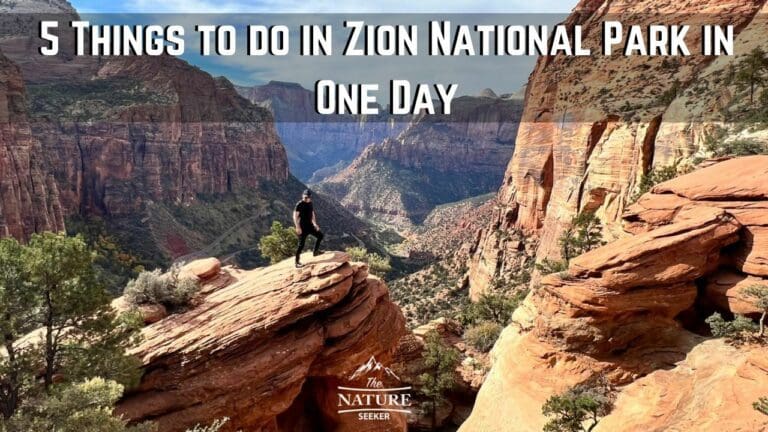 5 Things to do in Zion National Park in One Day