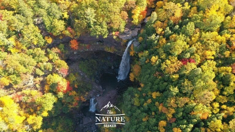 view of kaaterskill falls in the autumn