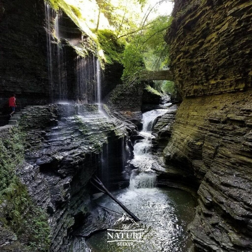 Escape to Watkins Glen & Corning: Your Finger Lakes Adventure Awaits!