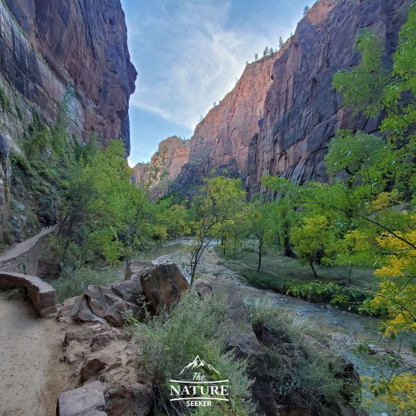 what to do in zion national park in one day new 04