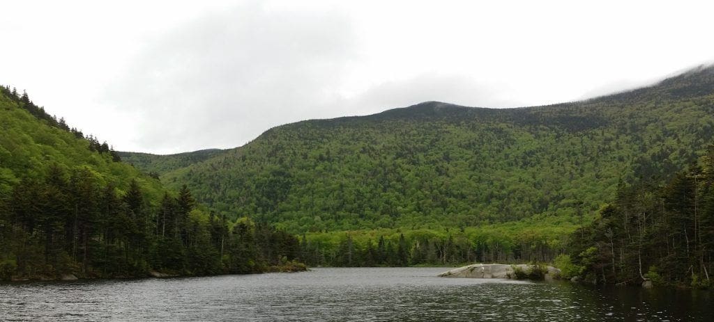 white mountains beaver pond photo