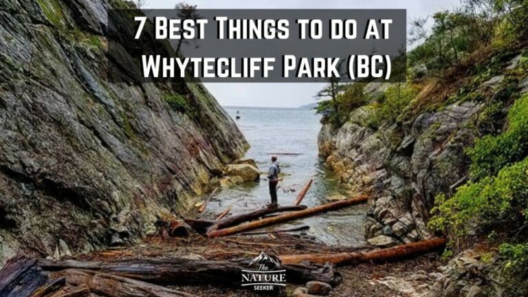 7 Best Things to do in Whytecliff Park Vancouver