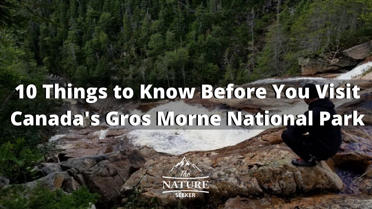 10 things to know before you visit gros morne national park