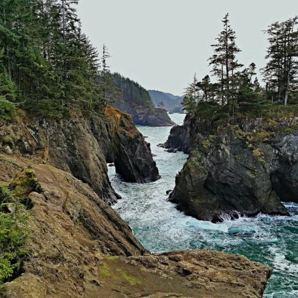 Samuel H. Boardman State Park oregon coast