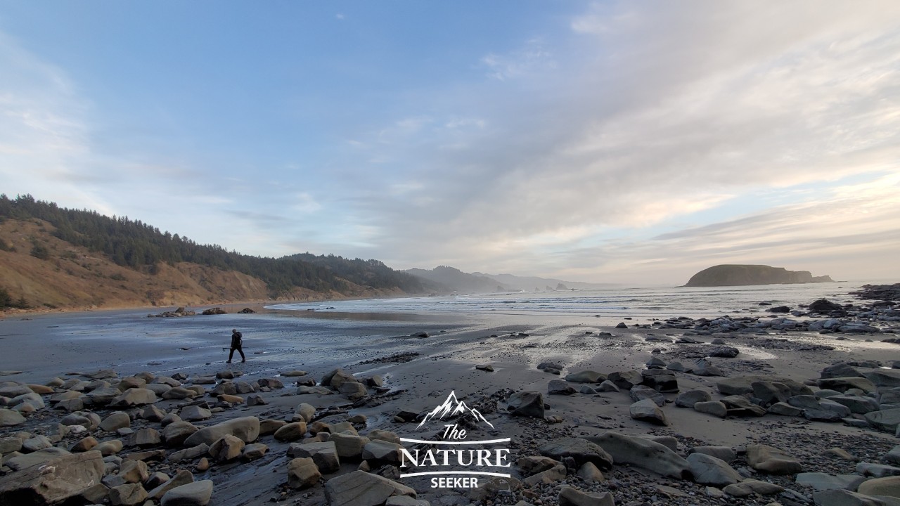 cape sebastian scenic corridor oregon coast new 03