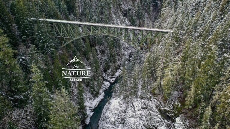 high steel bridge in washington region of pacific northwest | The ...