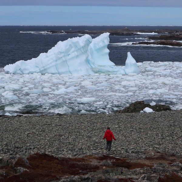 iceberg in gros morne newfoundland 03