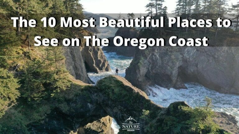 15 Best Places to Visit on The Oregon Coast For First Timers