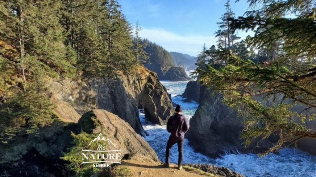 samuel h boardman scenic corrider places to see on the oregon coast 09