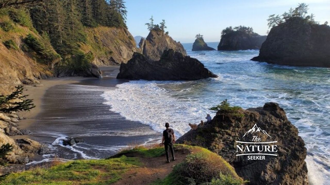 secret beach on the oregon coast places to see 01