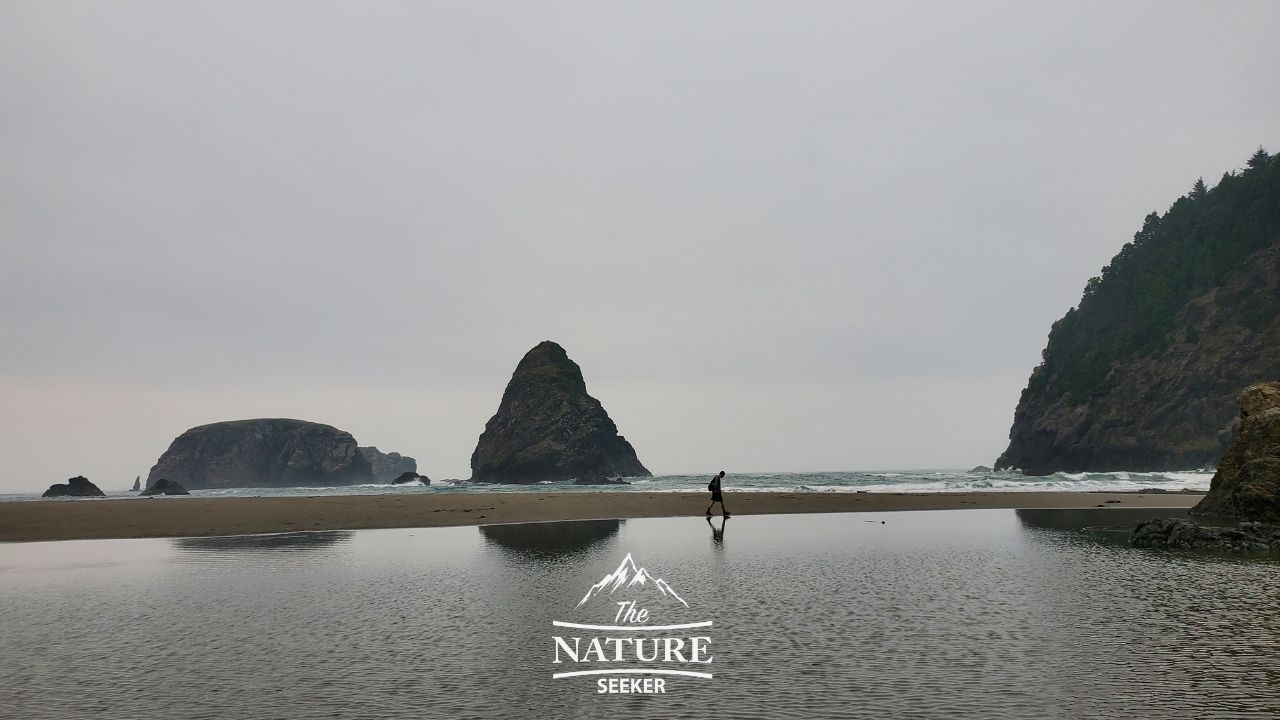 the beautiful whaleshead beach on the oregon coast 011