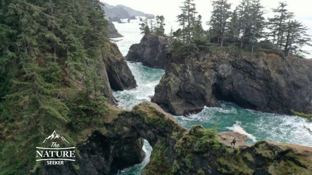 the oregon coast in the pacific northwest road trip details