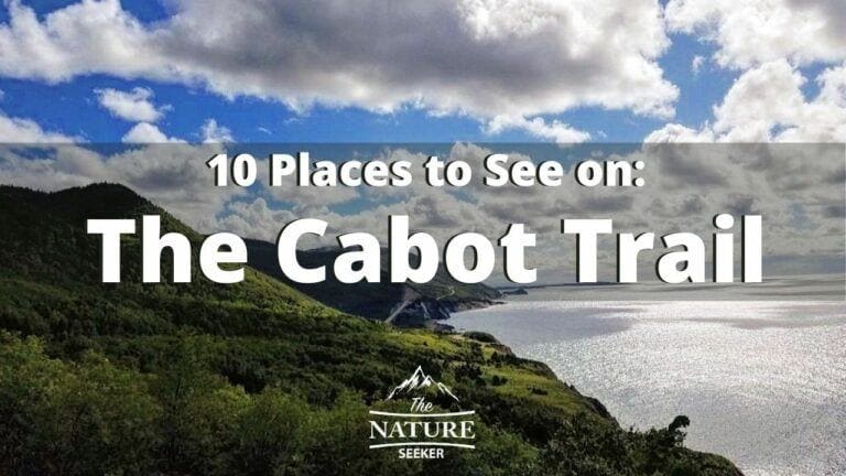10 Best Things to See on The Cabot Trail in Nova Scotia