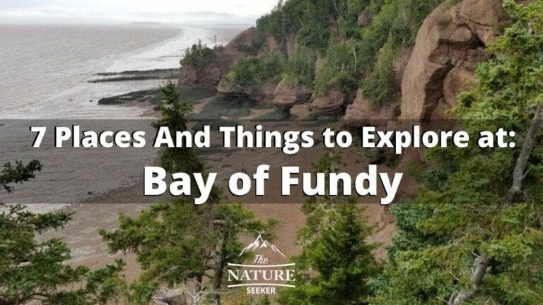 7 Best Things to do in Bay of Fundy For Your First Visit